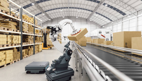 The Role of Technology and Infrastructure in Modern Warehousing